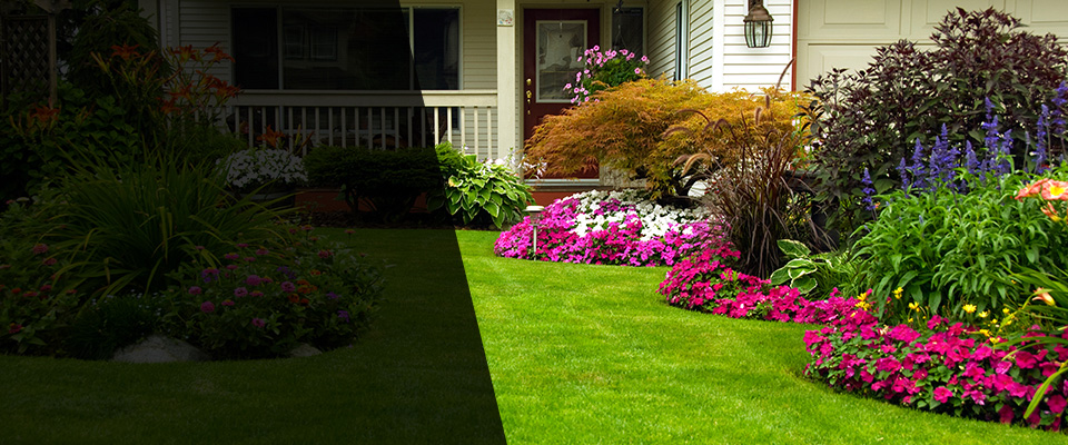 Bloomington Landscapers